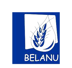 Logo belanau dummy2