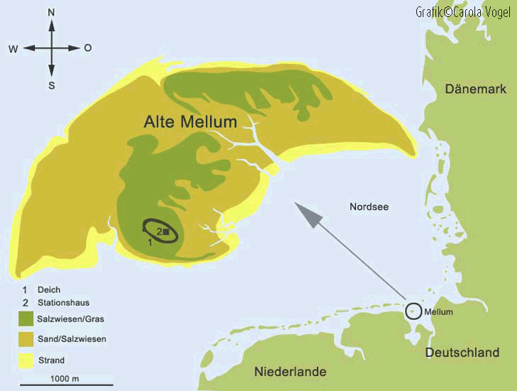 BILD-zu_10018_MELLUM-Insel-Abb-4_Wiki