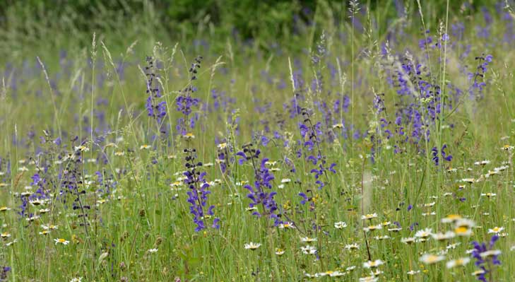 U17-_10017_BILD_04