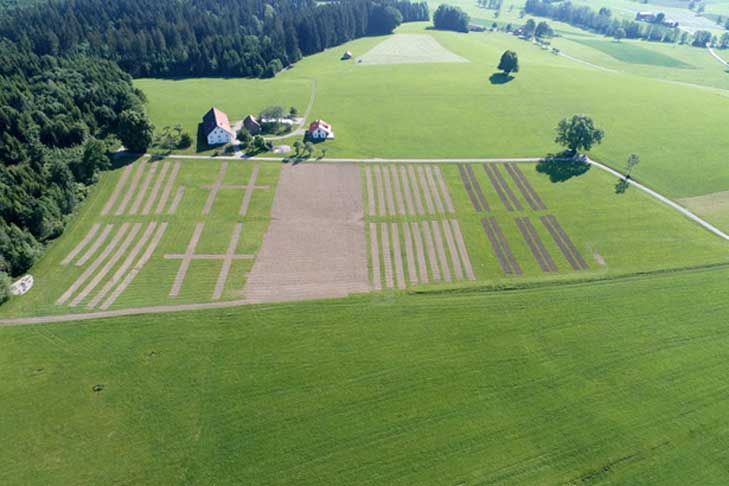 mellifera_Luftbild-Drohne_Versuchsparzellen-nach-Ansaat_2018 (1)