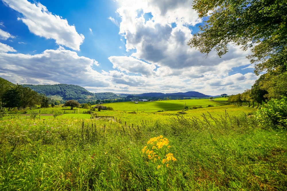 View,Of,The,Diemeltal,With,The,Surrounding,Landscape